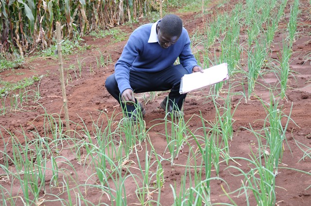 Agriculture student Farm visit Practicals