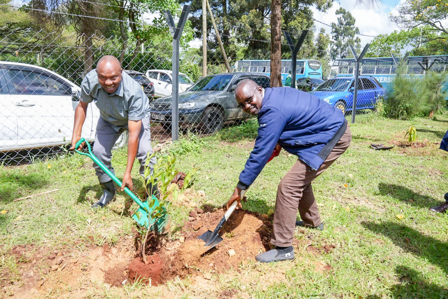 DVC FPD tree planting