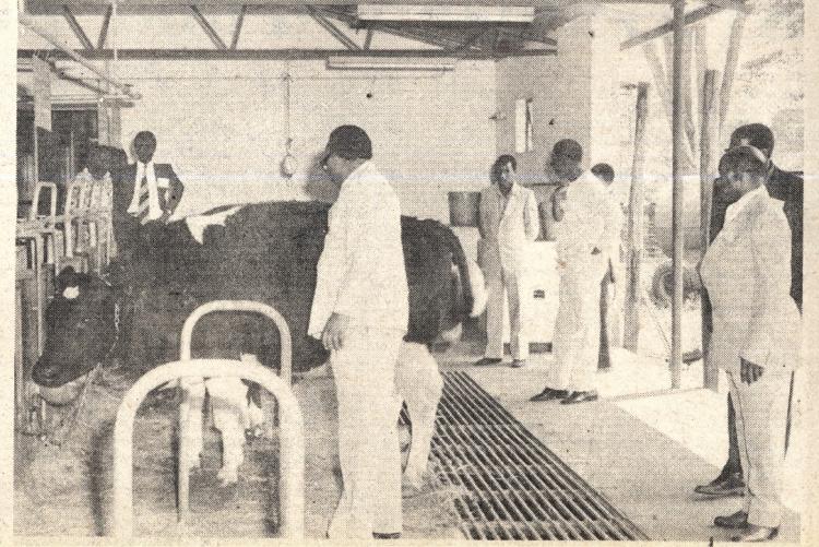 Animal clinic at Kabete Campus 1980