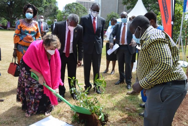 Chancellor Dr. Vijoo Rattansi  Plants a tree at the Great Court on the UoN at 50 celebrations 