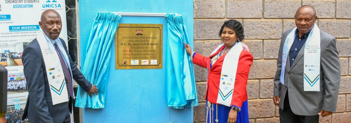 13th Intl Lead Poisoning Prevention Week plaque