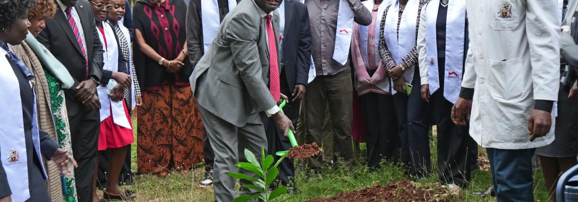 Tree planting during graduation